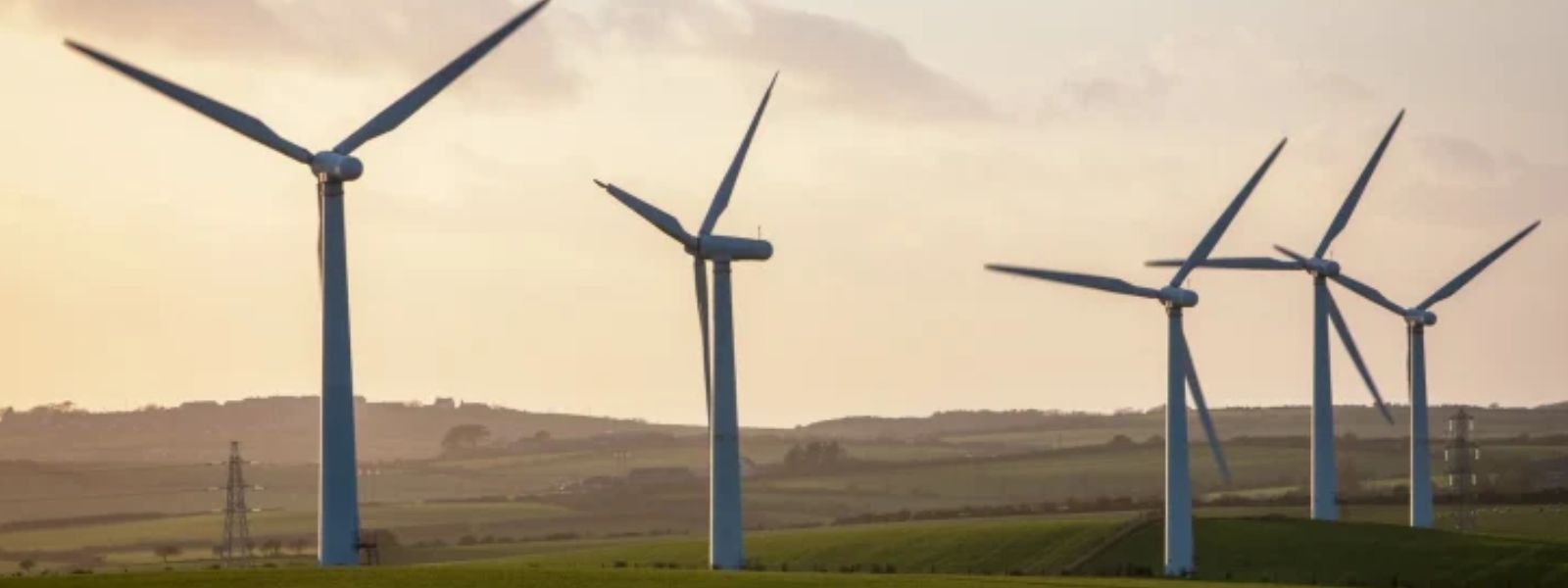 Mullikulam Projects Awarded at Record-Low Rates